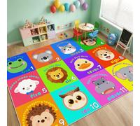 WISH TREE Animal Pattern Classroom Rug with 12 Numbered Seats, Soft Low Pile Non Slip Washable Educational Kids Rug with Rubber Backing, Preschool Kindergarten Playroom, 6x9 Ft