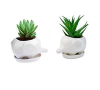 wish you have a nice day Set of 2 Cute Elephant Flower Pot,Modern White Ceramic Succulent Planter Pots/Tiny Flower Plant Containers (Elephant)