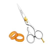 Wishbeauty 5.5" Professional Hairdressing Scissors - Razor Sharp Stainless Steel Hair Cutting Shears for Salon, Barber & Home (Silver)
