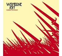 Wishbone Ash - Number The Brave