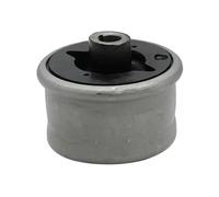 Wishbone bush 516463 GSP for FORD JAGUAR