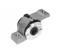 FAG 829 0290 10 Trailing arm / Suspension arm bush