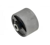 NTY ZTP-NS-065E Trailing arm / Suspension arm bush