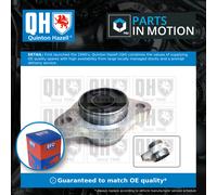 Wishbone / Control / Trailing Arm Bush Front Lower, Right EMS8617 Quinton Hazell