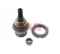FAG 825 0079 10 Ball Joint