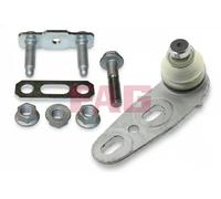 FAG 825 0289 10 Ball Joint