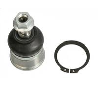 Wishbone Pin L40509 MONROE for ROVER HONDA