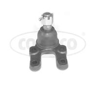 Wishbone Pin Lower 49395848 CORTECO for NISSAN TERRANO II TERRANO PICK UP