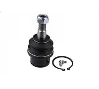 Fits NTY ZSD-CH-042 swingarm pin