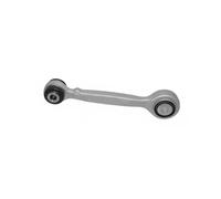 Wishbone Rear Axle Triangular Control Arm (CV) 7476572 SASIC for ALFA ROMEO