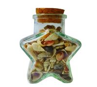 Wishing Bottle Tiny Sea Shells, Ocean Beach Spiral Seashells, Drifting Bottle, Lucky Star Bottle, DIY Crafts, Home Decor, Wedding, Vase Filler, Fish Tank Decor(about 300 Pieces)