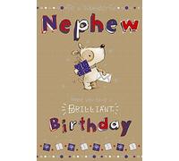 Wishing Well Studios Greetings Card - Nephew Birthday