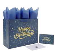 wishinside 13'' Large Birthday Gift Bag Set with Handles, Greeting Card, Blue Tissue Papers and Stickers for Boys Kids Men for Men's Birthday Party, Kids' Parties, Baby Shower, Baby Boy, 1 Pcs