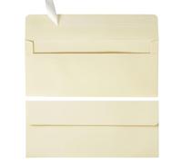 Wishop 50 Pack #10 Business Envelopes Self Seal 4x9 Standard Envelopes for Business, Invoices, Letter Mailing, 4 1/8 x 9 1/2 Inches (Cream Color, 4.13 x 9.49)
