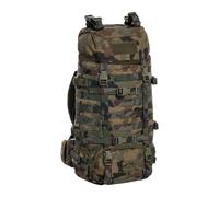 Wisport Raccoon Backpack 45 l wz.93 Pantera PL Woodland