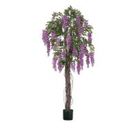 Wisteria Potted Tree 4Ft - Purple