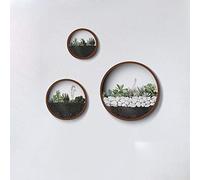 Wistwoxxon 3 Pack Set Wall Planters,Modern Round Glass Wall Planter Succulent Planter Circle Iron Hanging Planter Vase for Herb,Small Cactus Perfect for Balcony, Room and Patio Decor (Coffee)