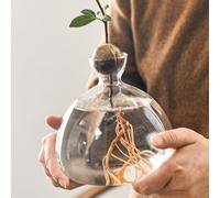 Wisylizv Glass Avocado Seed Sprout Starters Vase - Avocado Growing Vase | Avocado Seed Sprout Starters | Glass Avocado Tree Flower Vase