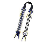 Wisylizv Graduation Lei 2026, Class 2026 Satin with Tin Display for Necklace, Graduation Ribbon, Decoration | for Graduates, College Students, Ceremony and Photobooth