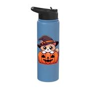 Witch Cat & Pumpkin Halloween Cute Stainless Steel Insulated Water Bottle
