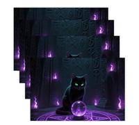Witchcraft Cat Placemats Set 30x45cm*4 Heat Resistant Washable Placemat Waterproof Table Placemats Non-Slip Wipeable Tables Mat Kitchen Place Mats for Dining Party Home Decor