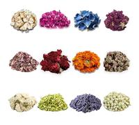 Witchcraft Dried Flowers Set - 12PCS Bulk Herbs & Florals, Witchcraft Herbs for Spells, Rituals, Candle Magic, and Pagan Decor