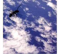 Witches, the - On Parade [VINYL]