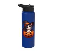 Witchy Kitten on Pumpkin Cute Cat with Witch Hat - Halloween Stainless Steel Insulated Water Bottle