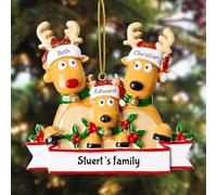 witfox Personalised Christmas Ornaments with 2/3/4/5/6/7/8 Family Names - 2024 Resin personalised hand-painted christmas tree decorations baubles for Family, Partners, Friends 3