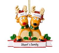 witfox Personalised Christmas Ornaments with 2/3/4/5/6/7/8 Family Names - 2024 Resin personalised hand-painted christmas tree decorations baubles for Family, Partners, Friends 2