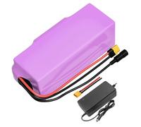 with Charger 14Ah 7S4P 24V Battery e-Bike ebike Electric Bicycle Li-ion Customizable 130x90x70mm
