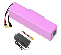 With charger 21 Ah 7S6P 24 V battery, e-bike, e-bike, lithium-ion adaptable, 260 x 70 x 70 mm battery