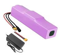 with Charger 7Ah 13S2P 48V Battery e-Bike ebike Electric Bicycle Li-ion Customizable 245x70x50mm