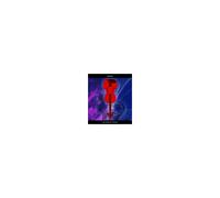 With Friends At St David's - Marillion - Blu Ray