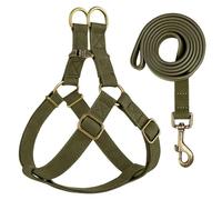 With ID Tag Personalized Adjustable Anti-Lost PU Leather Dog Walking Harness Leash Set For Shiba Inu Bulldog Poodle Beagle,Green A,S