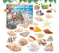 with Shells - 35 cm, Countdown for Christmas 24 Days | Sea Shells and Starfish - Educational | Holiday Gift Collection: Calendar A Di SC