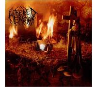 Withered Earth - Into the Deepest Wounds