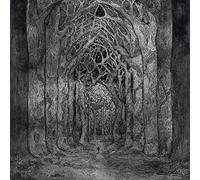 Within The Darkness Between The Starlight [VINYL]