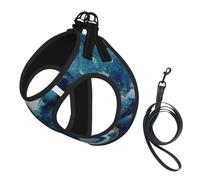 Within The Tides Print Dog Harness Leash Set Reflective Pet Harness Puppy Vest Suitable Dogs Cats Small Breeds