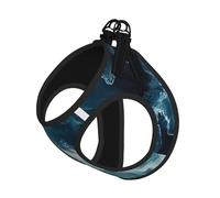 Within The Tides Print Pet Leash Vest Reflective Adjustable Soft Mesh Vest Breathable For Daily Walks