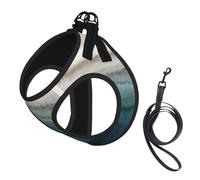Within The Tides Print Small Dog Harness And Leash Set, Adjustable Soft Vest With 360° Reflective Straps For Cats Puppy