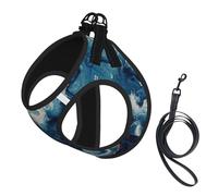 Within The Tides Print Step in Dog Harness and Leash Set,Mesh Pet Vest Harness for Small Dogs and Cats