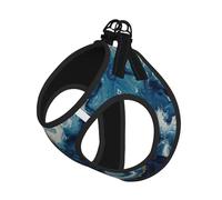 Within The Tides Print Step in Dog Harness and Leash Set,Mesh Pet Vest Harness for Small Dogs and Cats