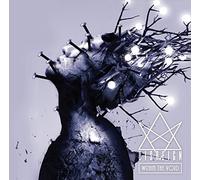 WITHIN THE VOID -LIMITED EDITION-