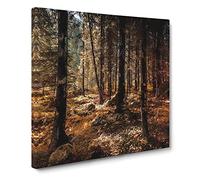 Within the Woods Canvas Print | Gallery Wrapped 30mm Frame Wall Art | 20x20 inches | Ready to Hang | Modern Landscape Picture | Living Room Bedroom Lounge Office