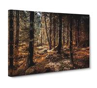 Within the Woods Canvas Print | Gallery Wrapped 30mm Frame Wall Art | 30x20 inches | Ready to Hang | Modern Landscape Picture | Living Room Bedroom Lounge Office