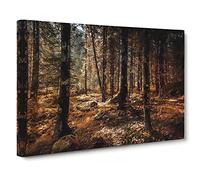 Within The Woods Canvas Print | Gallery Wrapped 30mm Frame Wall Art | 30x20 inches | Ready to Hang | Modern Landscape Picture | Living Room Bedroom Lounge Office