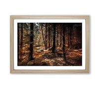 Within The Woods Framed Print | A2 Oak Framed Wall Art | Ready to Hang | Modern Landscape Picture | Living Room Bedroom Lounge Office