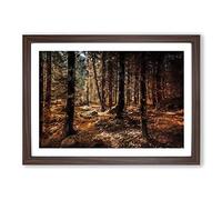 Within The Woods Framed Print | A2 Walnut Framed Wall Art | Ready to Hang | Modern Landscape Picture | Living Room Bedroom Lounge Office