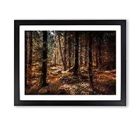 Within The Woods Modern Art Framed Print | A4 Black Framed Wall Art | Ready to Hang | Modern Landscape Picture | Living Room Bedroom Lounge Office